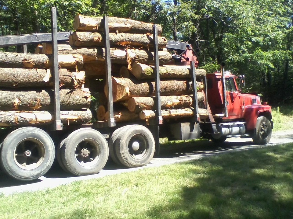 15 фактов об ИКЕА, которых вы не знали