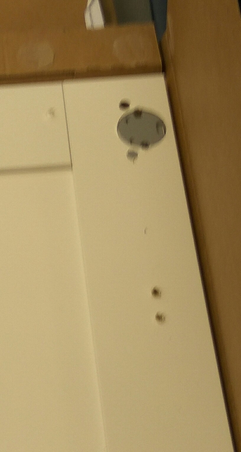 Как я возвращал фасады кухни в магазин ИКЕА