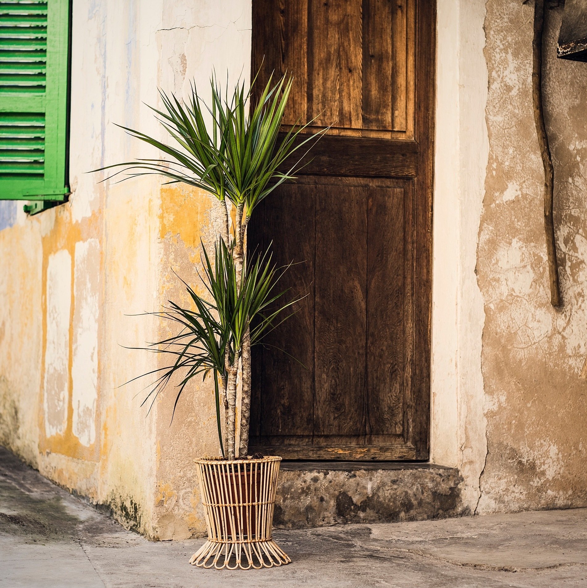 10 вещей из нового каталога ИКЕА-2019