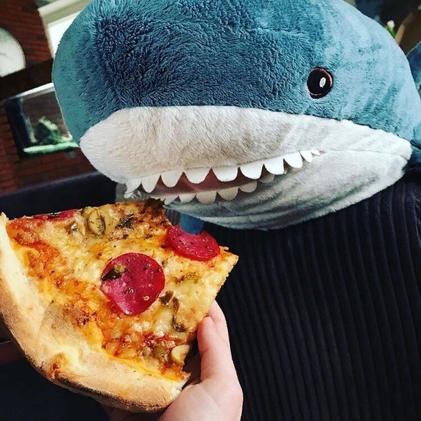 Тайная жизнь Акулы БЛОХЭЙ из Икеи