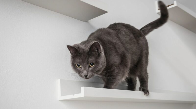 5 неожиданных вариантов использования полки для картин ИКЕА МОССЛЭНДА