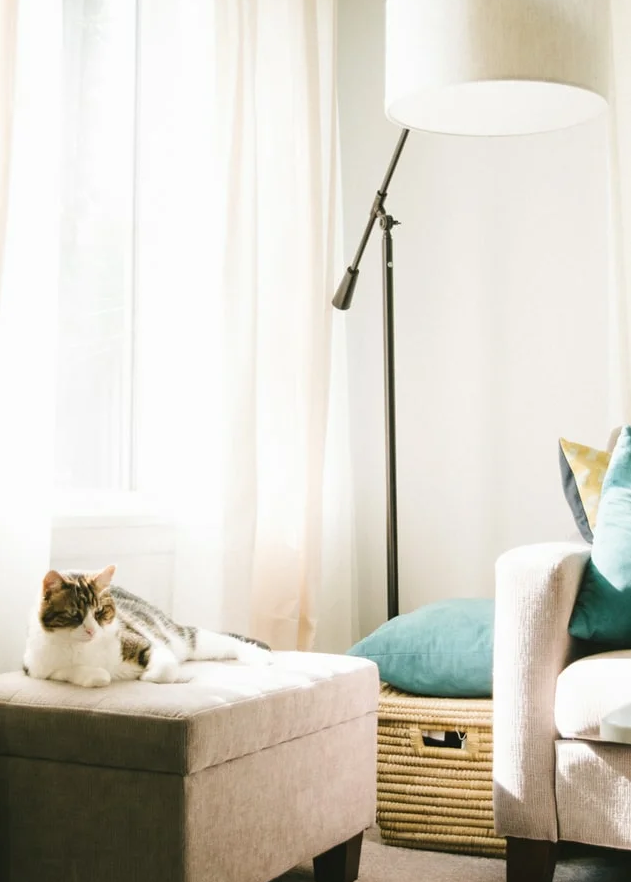 Редкие фото интерьеров от ИКЕА