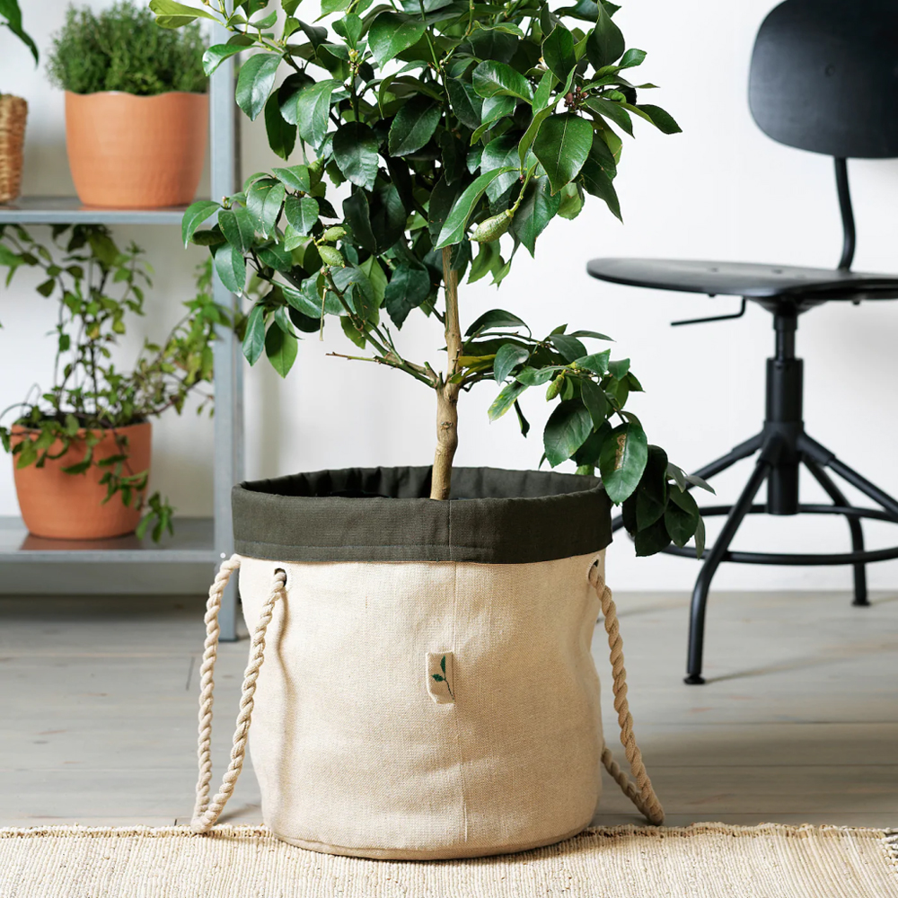 ИКЕА БОТАНИКС – сад у вас дома