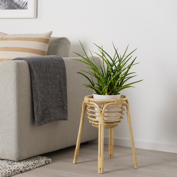 Лучшие поступления из нового каталога IKEA 2021