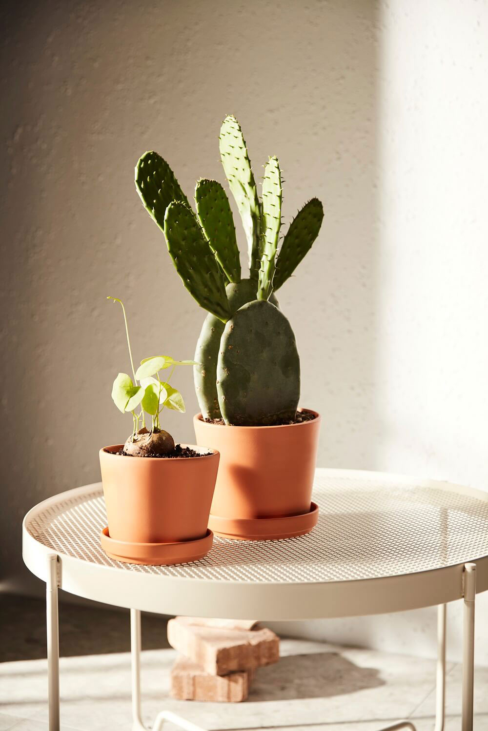 Весенняя коллекция ИКЕА 2022