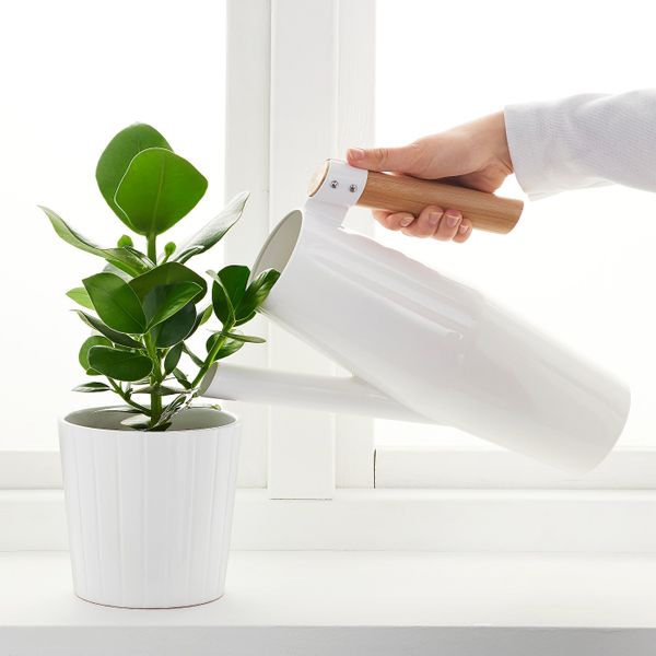 Лейка, белый 2 л IKEA BITTERGURKA БИТТЕРГУРКА 903.680.70 - фото 4