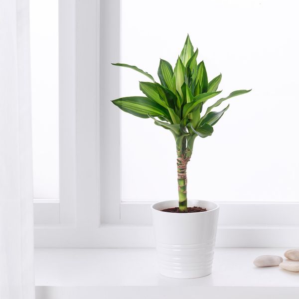 IKEA, дополнительный ракурс - схема-чертеж с размерами