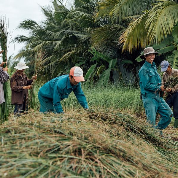 Корзина, водоросли зеленый 30 см IKEA ТИЛЛЕВИПС 304.395.08 - фото 8