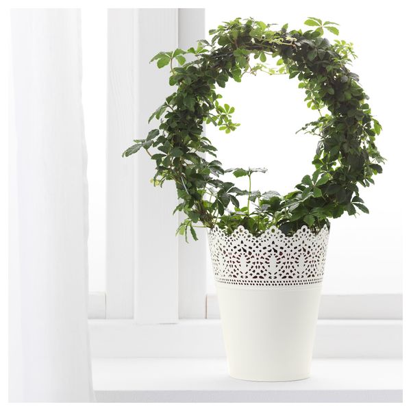 Кашпо СКУРАР, д/дома/улицы, белый с оттенком (12 см) - фото 2