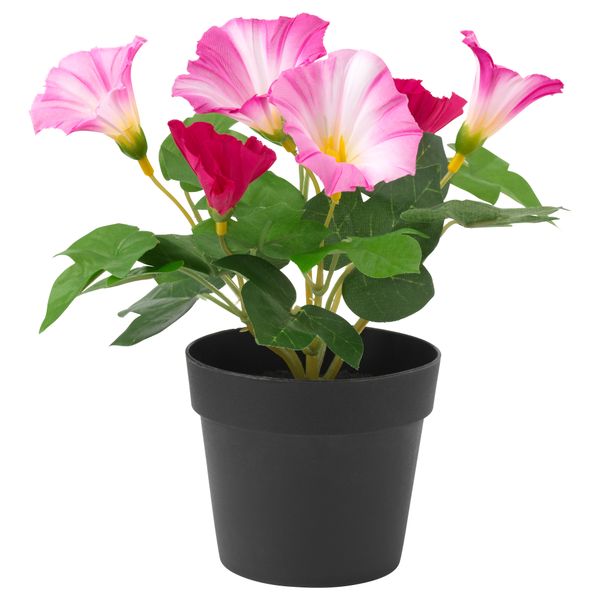 Искусственное растение в горшке ФЕЙКА, Ипомея трехцветная розовый (9 см) - фото 1