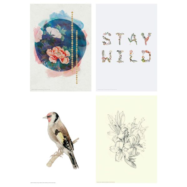 Постер БИЛЬД, Природа (21x30 см) - фото 1