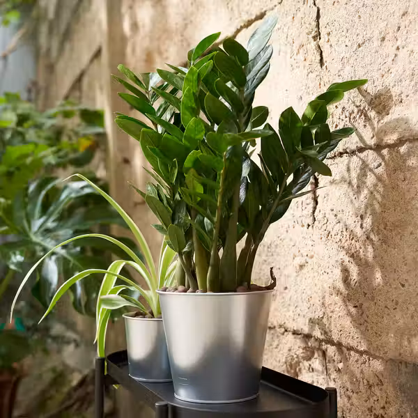 ÅKERBÄR Кашпо - д/дома/улицы/оцинковка 15 см - фото 3