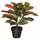 FEJKA Искусственное растение в горшке - д/дома/улицы кротон 12 см