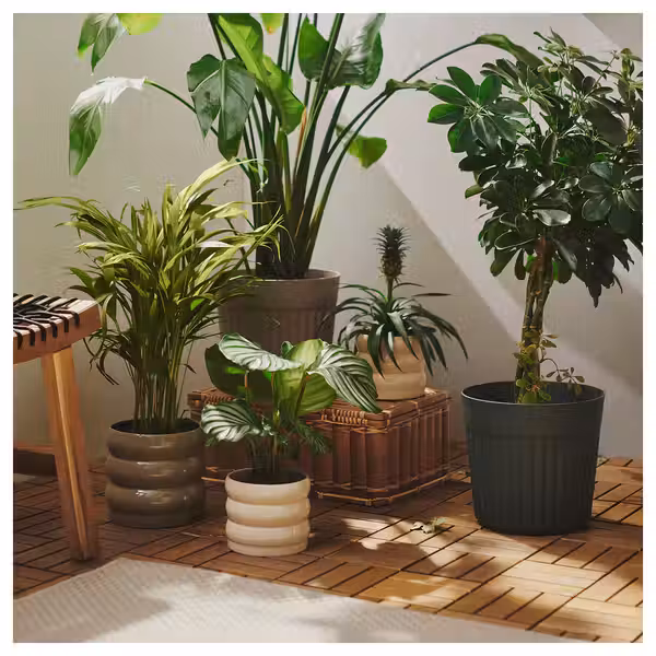 FRÄKENVÄXT ФРЭКЕНВЭКСТ Кашпо - д/дома/улицы/насыщенный зеленый 24 см - схема-чертеж с размерами