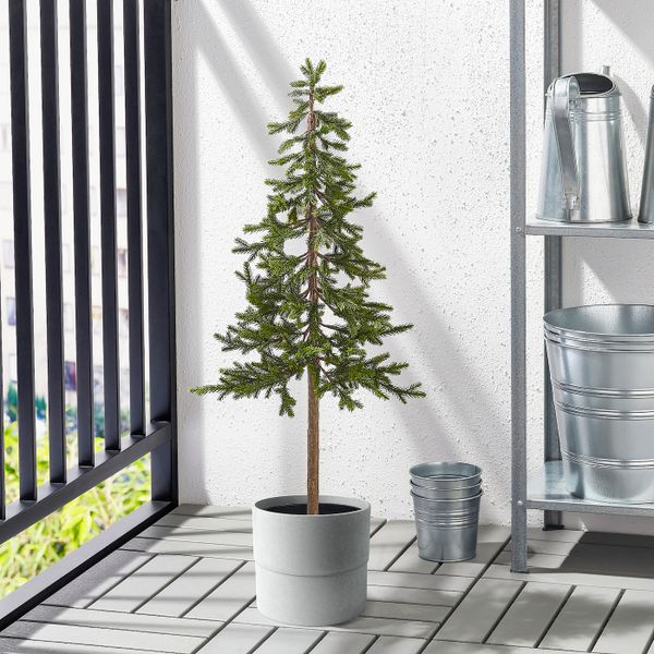 Искусственное растение в горшке, для дома/улицы рождественская елка, ель, 12 см IKEA ВИНТЕРФЕСТ 304.370.24 - фото 2