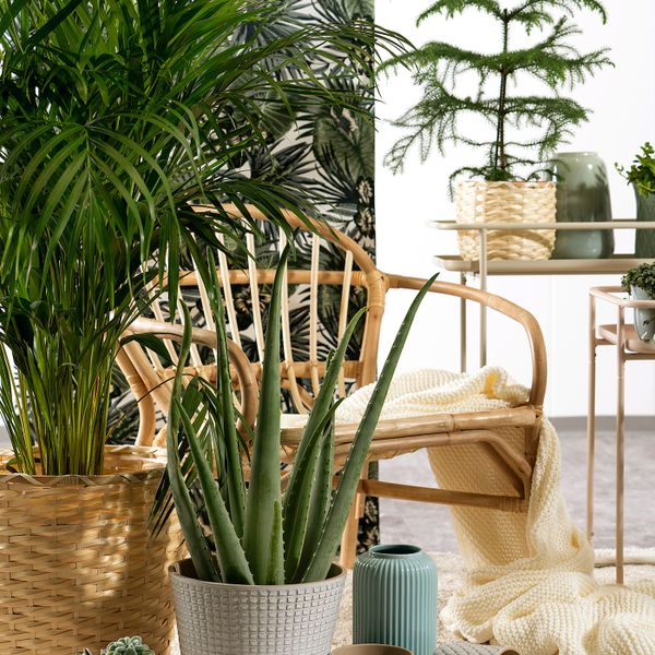 Кашпо, белый 19 см IKEA CHIAFRÖN ЧИАФРЁН 604.419.20 - схема-чертеж с размерами