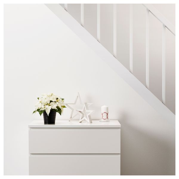 Искусственное растение в горшке ФЕЙКА, "Рождественская звезда" белый (12 см) - фото 2