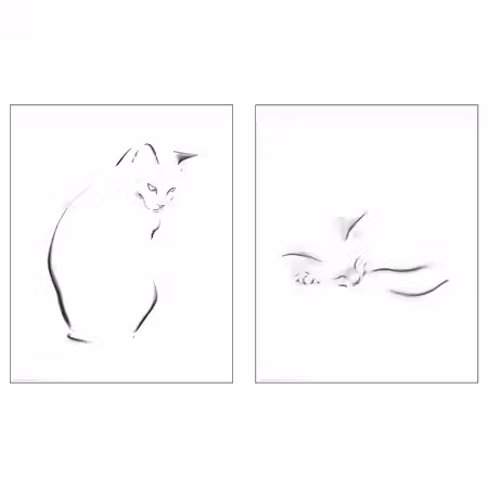 BILD Постер - Набросок кота 40x50 см