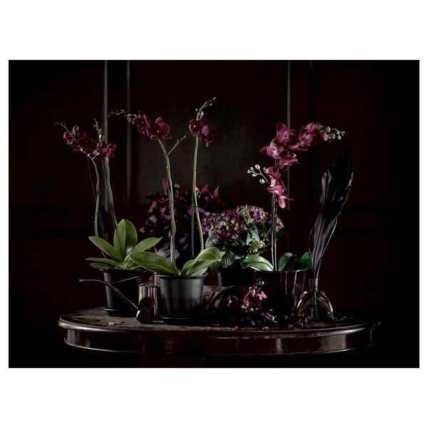 Горшок цветочный с поддоном ЮДЖУБЭР, черный (12 см) - схема-чертеж с размерами