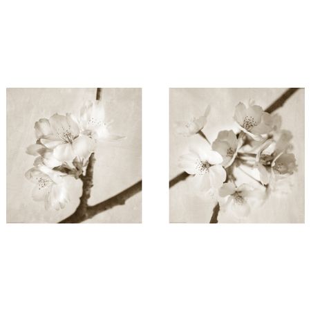 Постер, Майский цвет, 50x50 см IKEA DRÖMBILD ДРЁМБИЛЬД 604.424.15