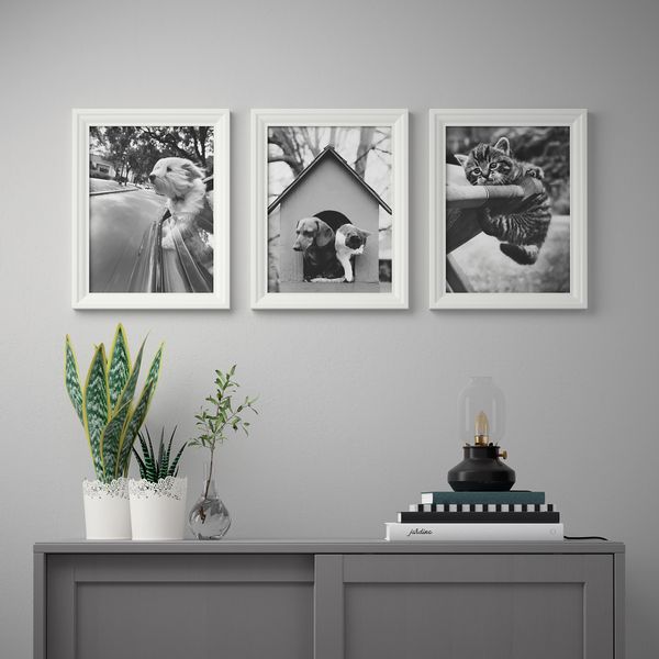 Постер, 30x40 см, Кошки и собаки IKEA DRÖMBILD ДРЁМБИЛЬД 904.361.68 - схема-чертеж с размерами