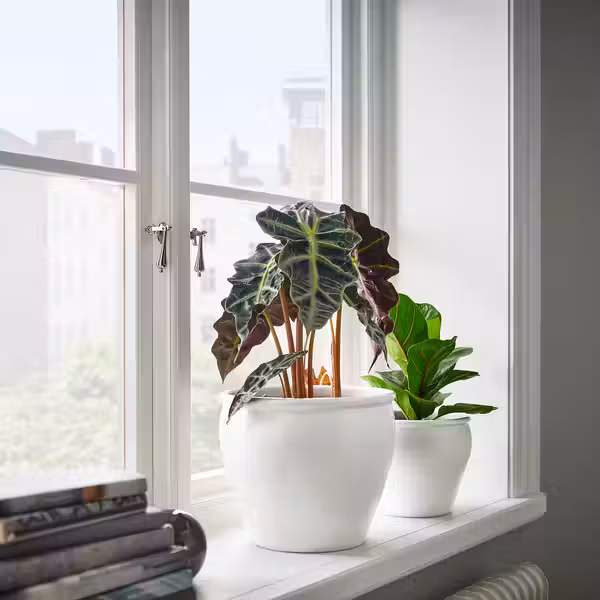 AMBRARÖNN АМБРАРЁНН Кашпо - д/дома/улицы/белый 19 см - фото 2