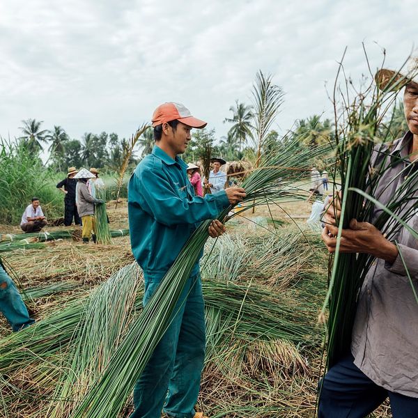 Корзина, водоросли зеленый 30 см IKEA ТИЛЛЕВИПС 304.395.08 - фото 9