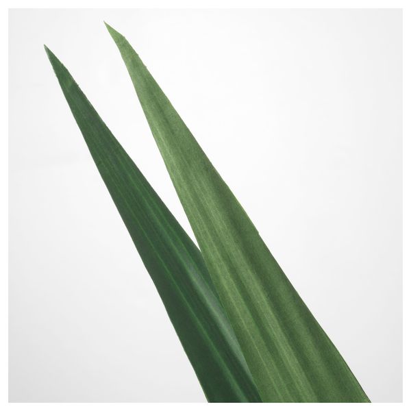 Искусственный листок СМИККА, Панданус, зеленый (90 см) - схема-чертеж с размерами