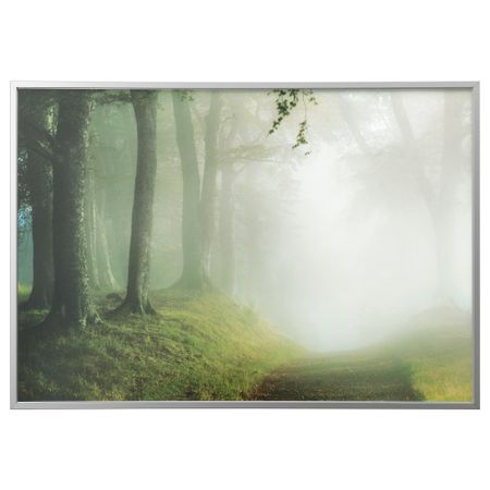 Картина с рамой БЬЁРКСТА, лесная дорога, цвет алюминия (200x140 см)