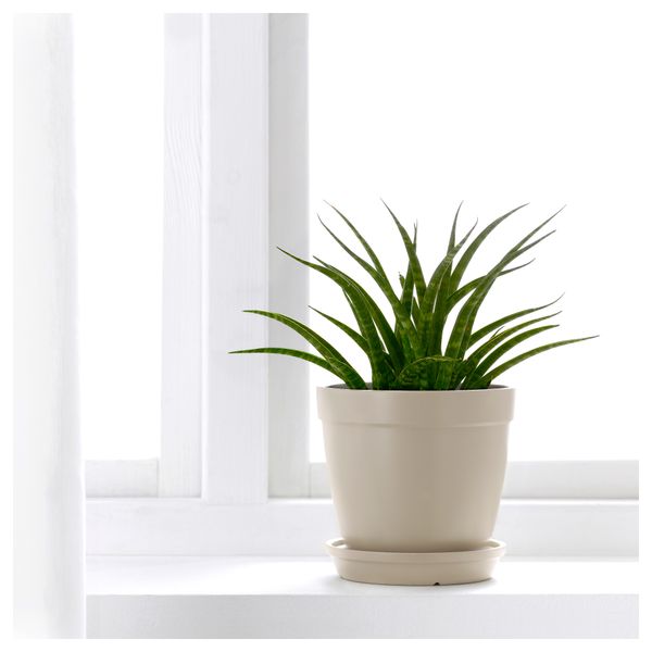 Горшок цветочный с поддоном ЮРТРОН, бежевый (12 см) - фото 2