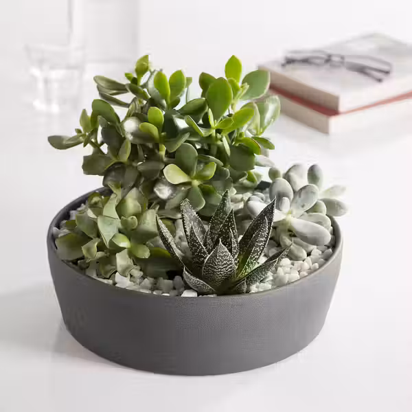 DYFT Украшение, камни - белый 650 гр - схема-чертеж с размерами