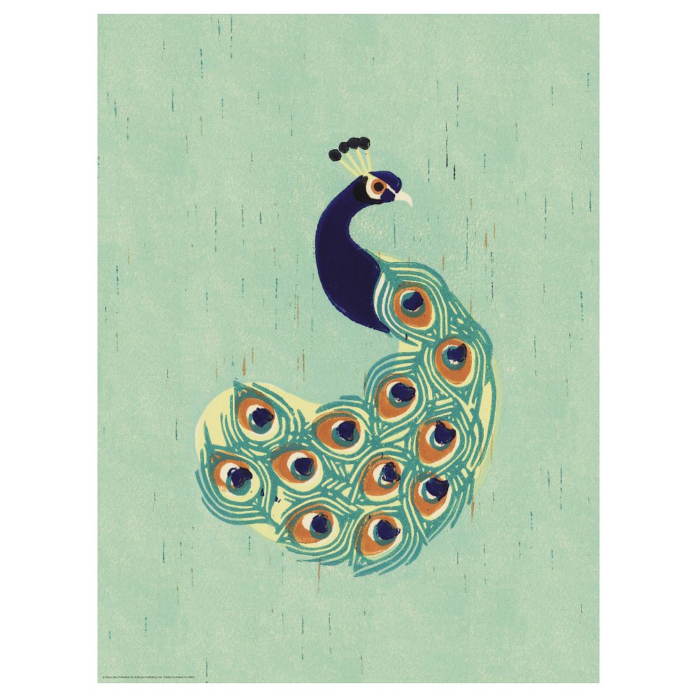 Постер, Павлин, 30x40 см IKEA DRÖMBILD ДРЁМБИЛЬД 204.361.00 - фото 1