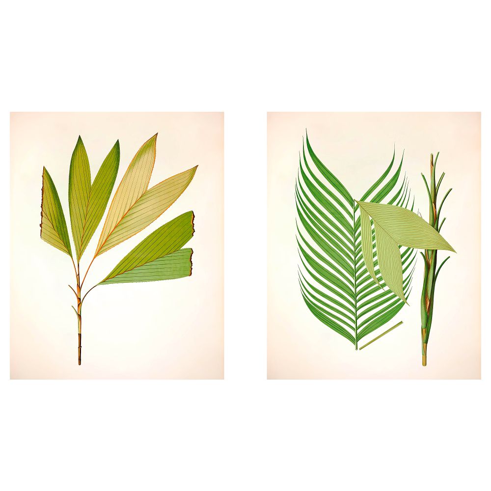 Постер, Зеленая деталь 2, 50x70 см IKEA DRÖMBILD ДРЁМБИЛЬД 204.468.54 - фото 1