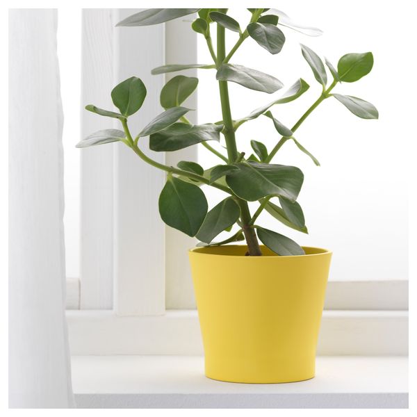 Кашпо ПАПАЙА, желтый, зеленый (12 см) - фото 2