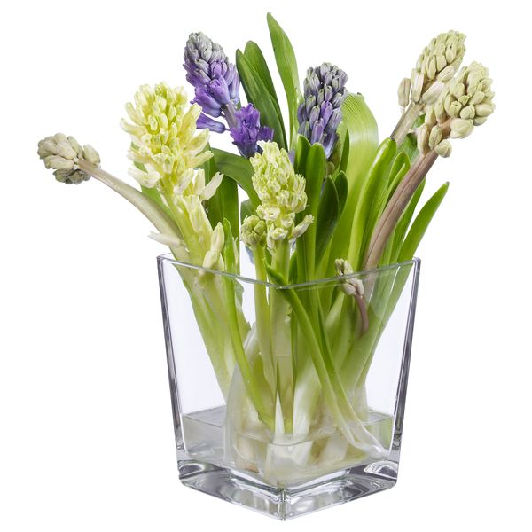 Ваза КАНИСТ, прозрачное стекло (17 см) - фото 3