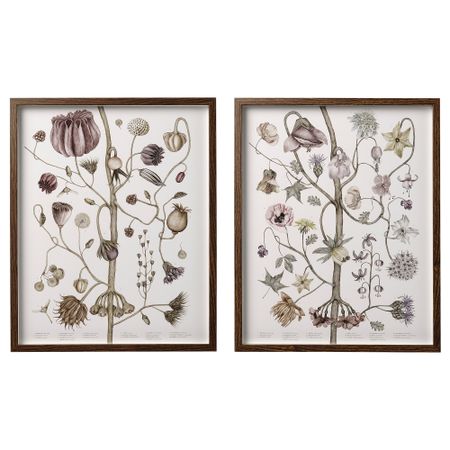 Рама с постером, 40x50 см, Винтажные цветы IKEA HOVSTA 005.332.20