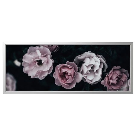 Картина с рамой, Розовые лепестки/цвет алюминия 140x56 см IKEA BJÖRKSTA БЬЁРКСТА 494.168.42