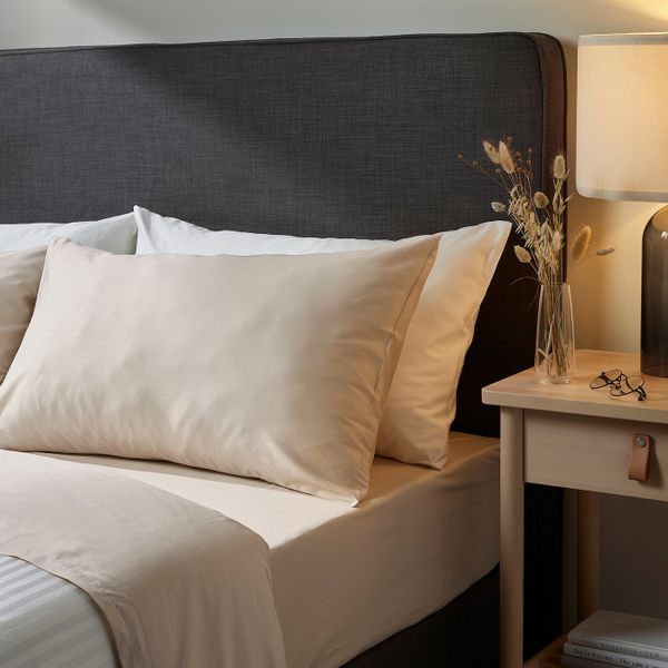 Простыня, светло-бежевый 240x260 см IKEA NATTJASMIN НАТТЭСМИН 104.427.81 - схема-чертеж с размерами