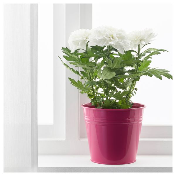 Кашпо СОККЕР, д/дома/улицы, розовый - схема-чертеж с размерами