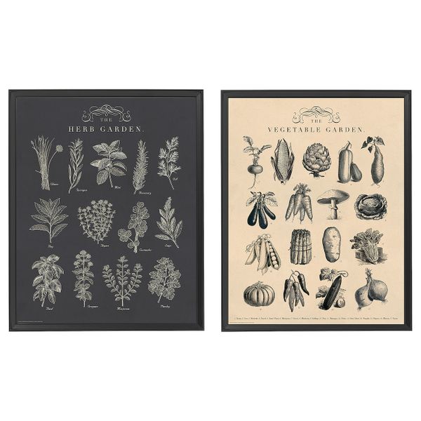 Рама с постером, сад 40x50 см IKEA KNOPPÄNG КНОППЭНГ 804.657.74 - фото 1