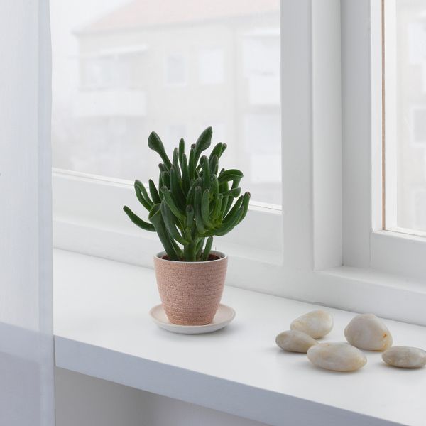 Горшок цветочный, розовый 10 см IKEA SKAKIG СКАКИГ 205.183.89 - фото 3