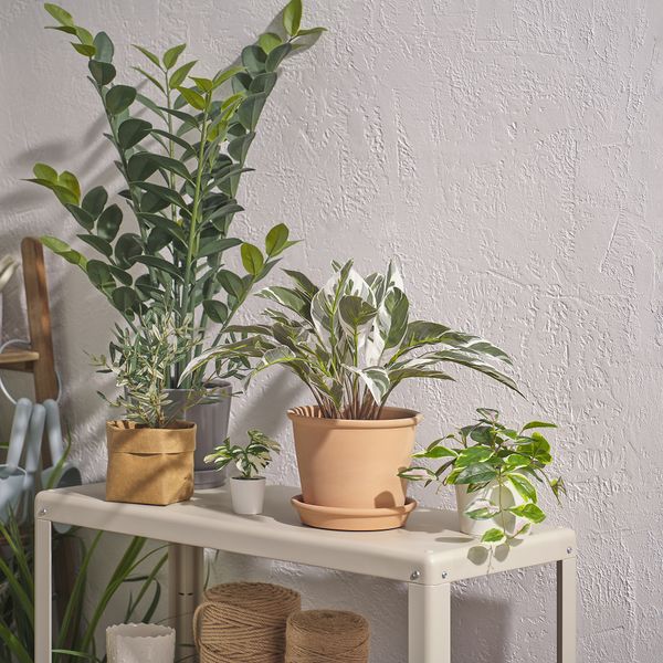 Искусственное растение в горшке, для дома, улицы Калатея, 15 см IKEA FEJKA ФЕЙКА 305.932.22 - фото 2