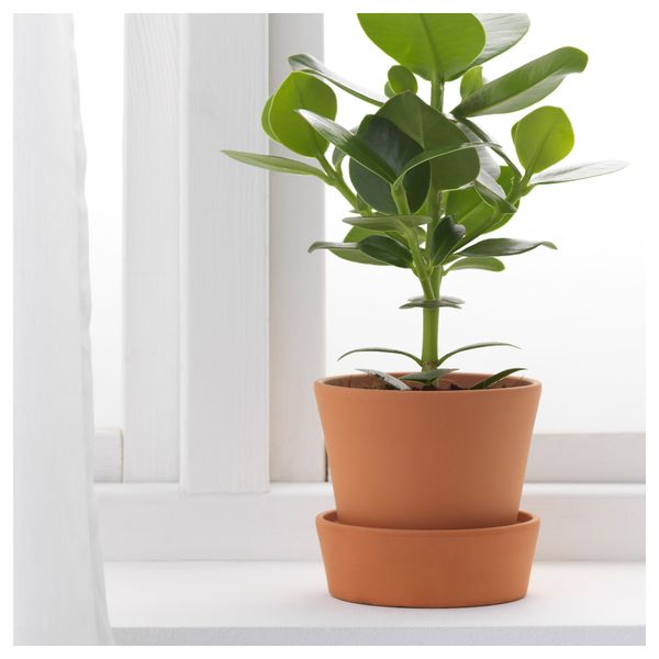 Горшок цветочный с поддоном ИНГЕФЭРА, для сада д/дома/улицы, терракота - фото 2