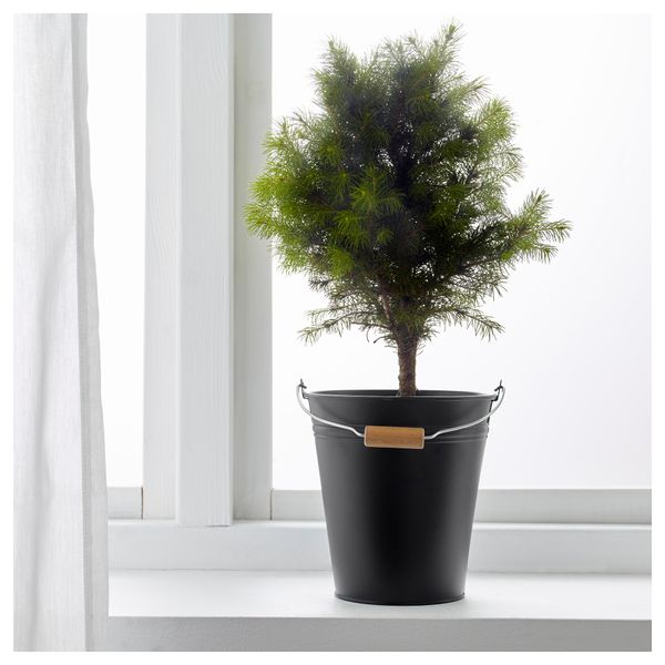 Ведро/горшок СОККЕР, д/дома/улицы, черный (2.5 л) - фото 3