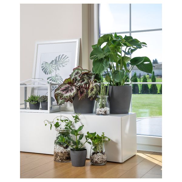 Кашпо, темно-серый 12 см IKEA PERSILLADE ПЕРСИЛЛАДЕ 004.509.98 - фото 3