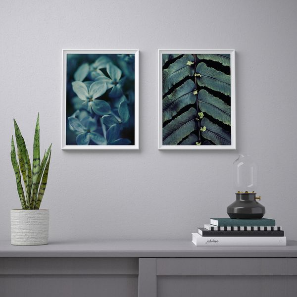 Постер, Растение, 30x40 см IKEA DRÖMBILD ДРЁМБИЛЬД 904.420.27 - фото 3