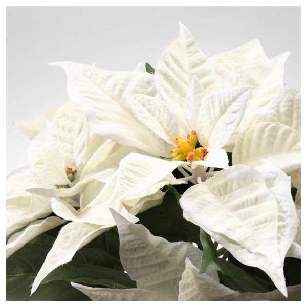 Искусственное растение в горшке ФЕЙКА, "Рождественская звезда" белый (12 см) - схема-чертеж с размерами