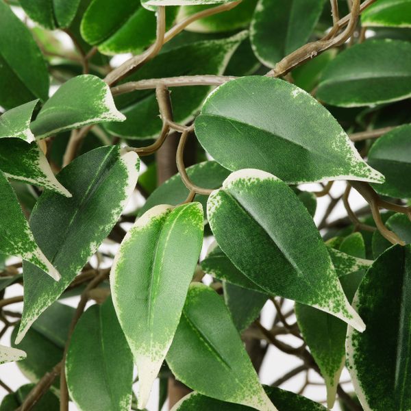 Искусственное растение в горшке, Фикус Бенджамина "Экзотика" 21 см IKEA FEJKA ФЕЙКА 103.751.83 - схема-чертеж с размерами