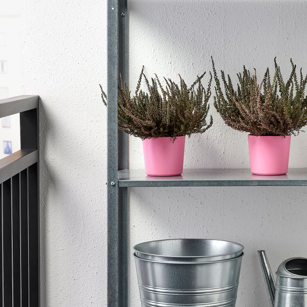 Кашпо, для дома, улицы/розовый 9 см IKEA OMFÅNG ОМФОНГ 104.639.00 - фото 4