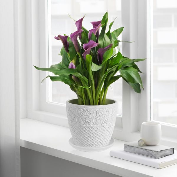 Горшок цветочный, белый, цветок, 15 см IKEA САЛЬПЕТЕР 304.484.47 - фото 2